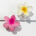 Presilha em formato de flor acrílico grampo de cabelo para mulheres, garras de caranguejo braçadeira presilhas havaianas - SHAMYS ONLINE SHOPPING